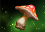 Vital Toadstool Vital Toadstool