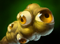 Observer Ward Observer Ward